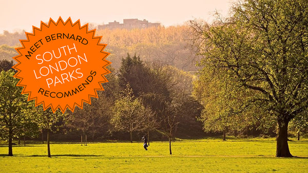 Meet Bernard Recommends: South London’s Best Parks